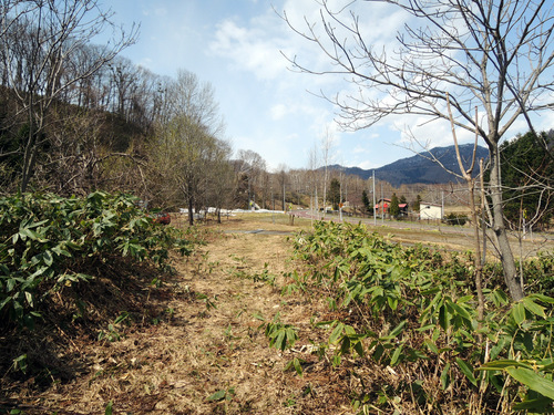 DSCN8171.JPG