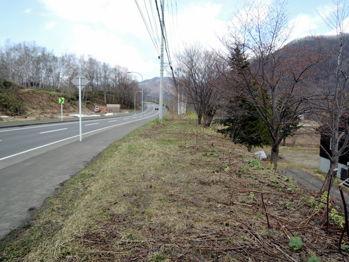 DSCN8176.JPG