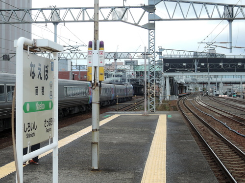 DSCN8231.JPG