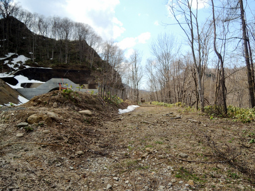 DSCN8285.JPG