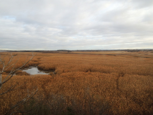 DSCN9511.JPG
