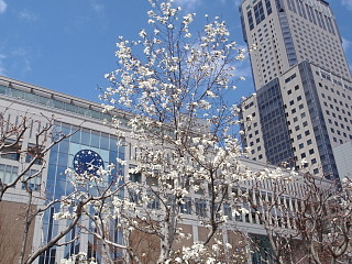P4280012.jpg