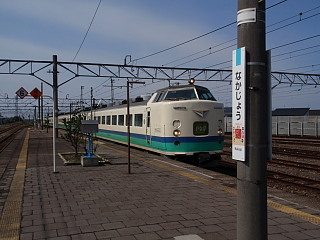 P5030502.jpg