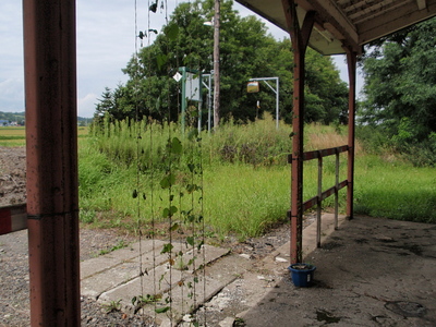 P8220466.jpg