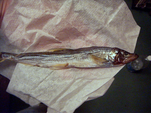 PICT0066.JPG