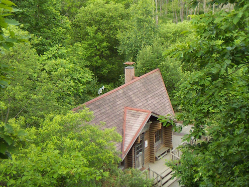 PICT0197.JPG