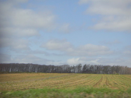 PICT0443.JPG